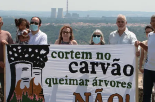 Ambientalistas em protesto contra a queima de árvores. Foto da Associação Ambientalista Zero.