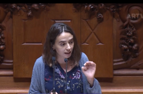 Maria Manuel Rola na Assembleia da República esta sexta-feira.