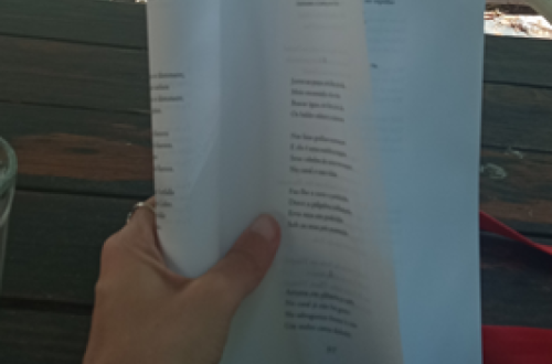 páginas de livro
