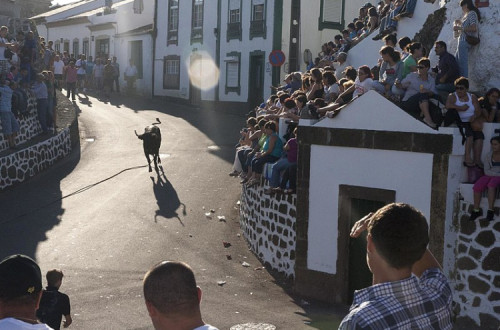Tourada à corda na Terceira. Foto de Luca Nebuloni/Wikimedia Commons.