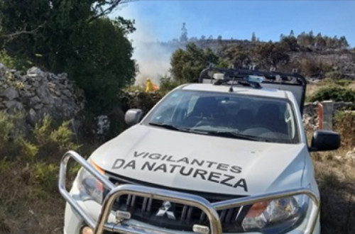Carro de vigilantes da natureza - Foto por Instituto da Conservação da Natureza e das Florestas – Facebook
