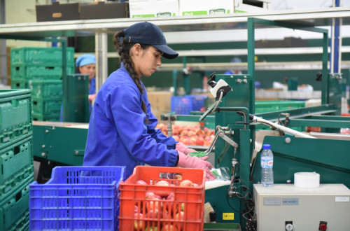 Trabalhadoras de uma cooperativa em Moimenta da Beira. Foto de Paulete Matos.