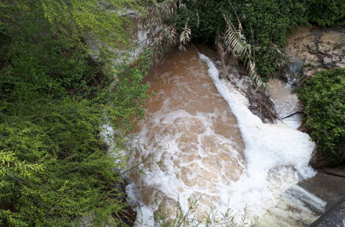Pedro Soares defende que haja um processo de descontaminação nos solos. Considera-o urgente no âmbito de um “problema ambiental muito complexo”, agravado “pelos efeitos do incêndio do Pinhal de Leiria”.