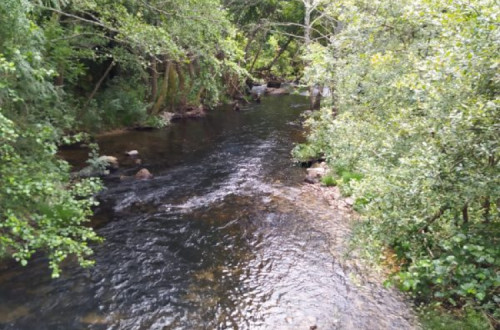 Rio Corgo. Foto do Interior do Avesso.