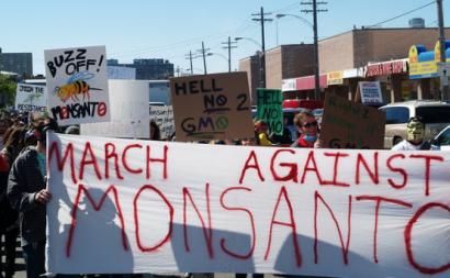 Manifestação contra a Monsanto. Washington. 2013.