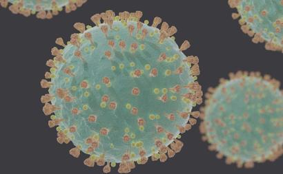 Coronavirus SARS-CoV-2 - Foto wikimedia