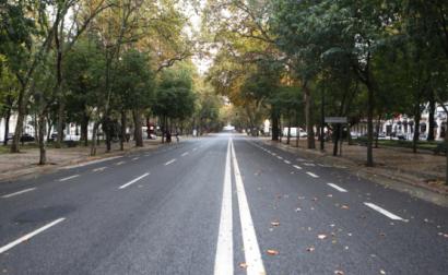 Avenida da Liberdade, 14 de novembro de 2020 – Foto de António Pedro Santos/Lusa