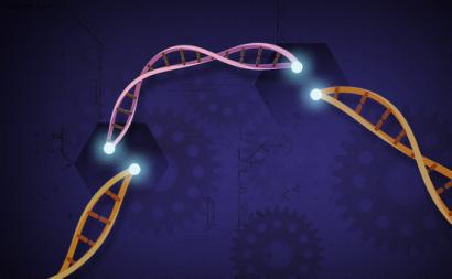 CRISPR Cas9 - Ernesto del Aguila III, National Human Genome Research Institute, NIH / Flickr
