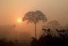 Fumo dos incêndios da Amazónia obscurece o sol perto de Porto Velho, Rondónia, Brasil. Foto de Joedson Alves, Lusa/EPA