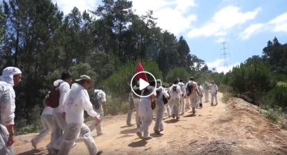 Vídeo da ação do Camp-in-Gás, na Bajouca