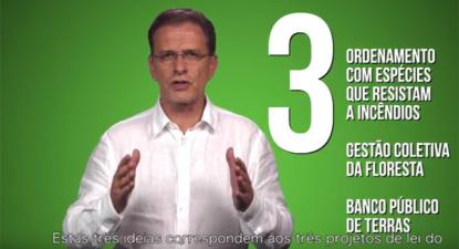 Reforma florestal: as propostas do Bloco