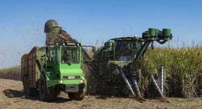 Máquina a fazer colheita na cana de açúcar. Austrália, 2020. Foto de  Steven Penton.