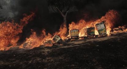Fogo em Fyli. Foto de KOSTAS TSIRONIS/EPA/Lusa.