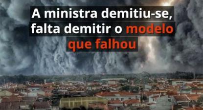 Temos de construir uma nova floresta, mais ordenada e segura