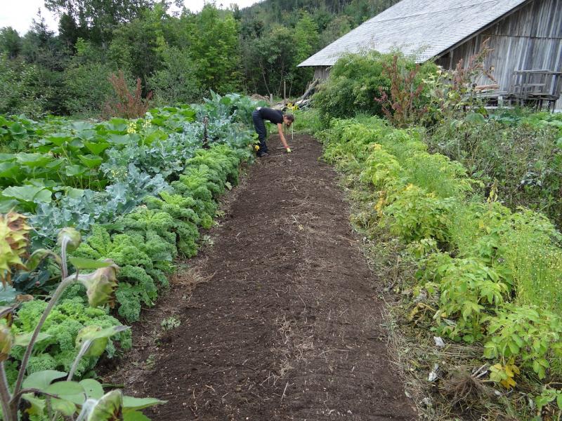 É urgente transformar a agricultura!