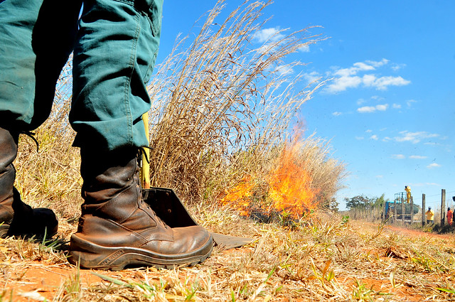 É preciso um investimento no combate aos incêndios