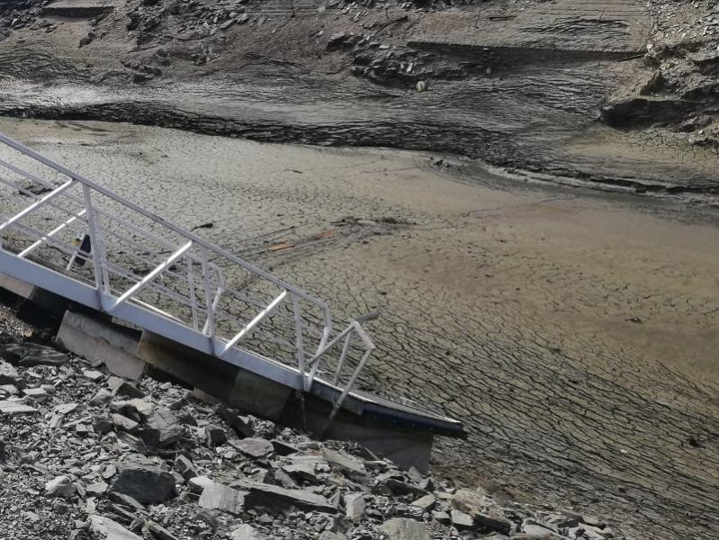 Foto de Diego Garcia - Shifter