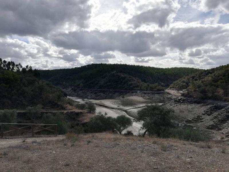 Foto de Diego Garcia - Shifter