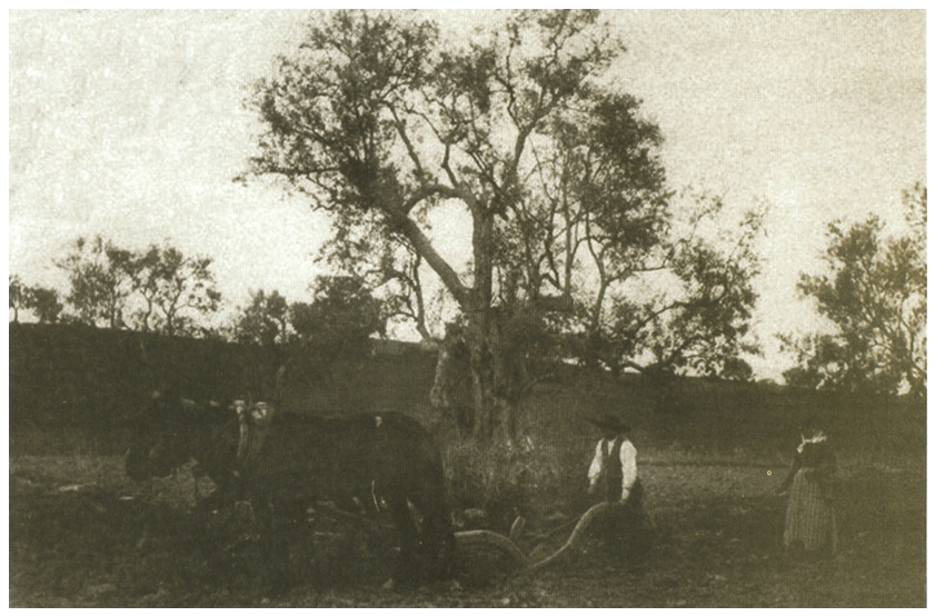 Alentejo - Foto de Higino Maroto